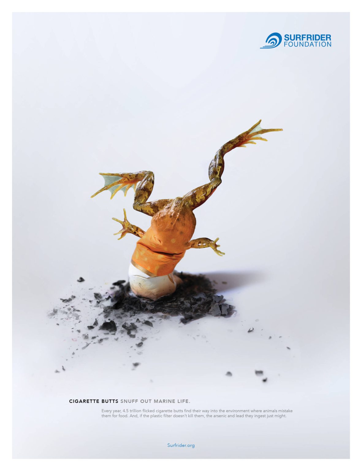 Cigarette Butt Pollution Awareness Poster